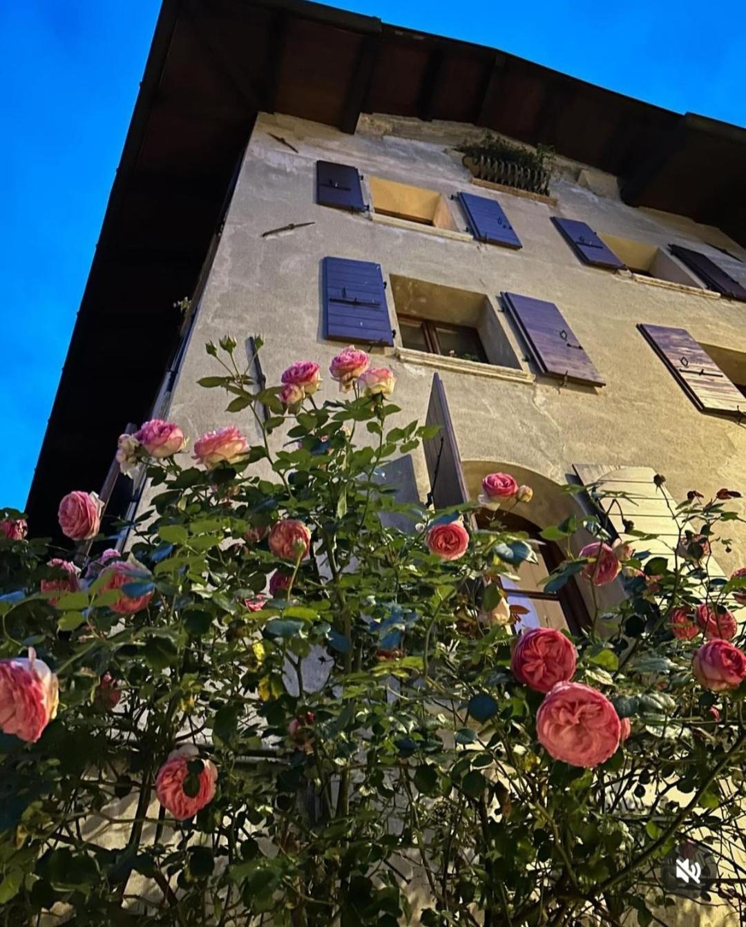 Via Mezzaterra 10 Apartment แฟลเตร ภายนอก รูปภาพ