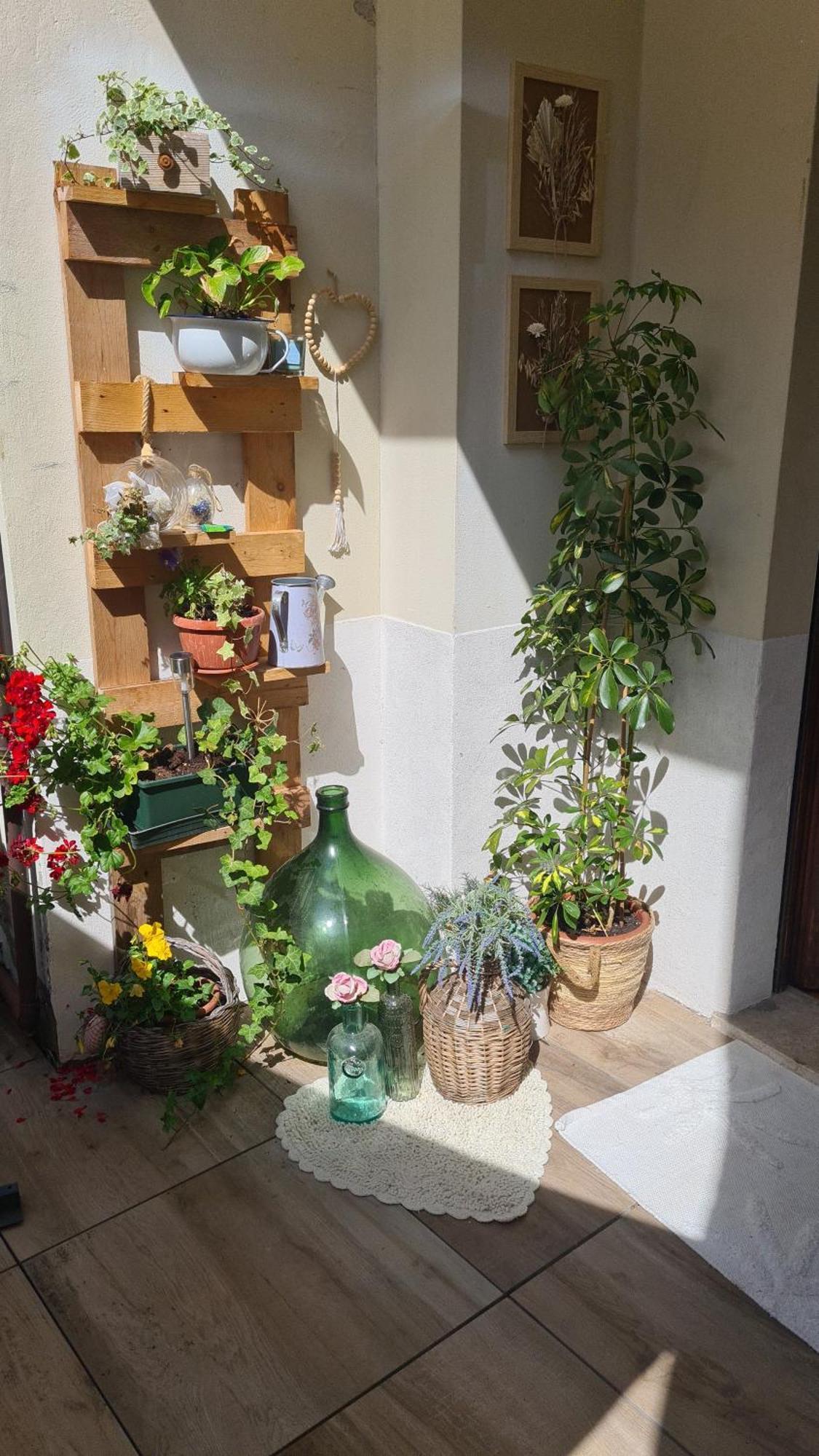 Via Mezzaterra 10 Apartment แฟลเตร ภายนอก รูปภาพ